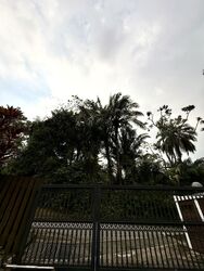 Cluny Park (D10), Detached #560244401